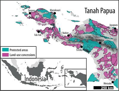 Papua at the Crossroads: A Plea for Systematic Conservation Planning in One of the Largest Remaining Areas of Tropical Rainforest